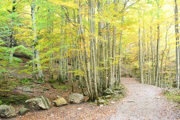 Parque Nacional de Ordesa — Foto de Stock