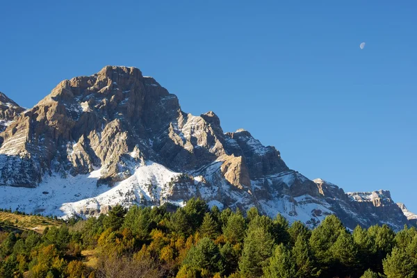 雪峰在比利牛斯 — 图库照片