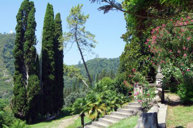 Rahat köşe yeni Athos, Abhazya