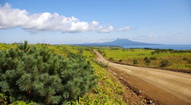 Road to vulcan Mendeleev on island Kunashir clipart