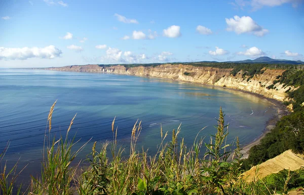 Ada Kunashir defne. Kuriles