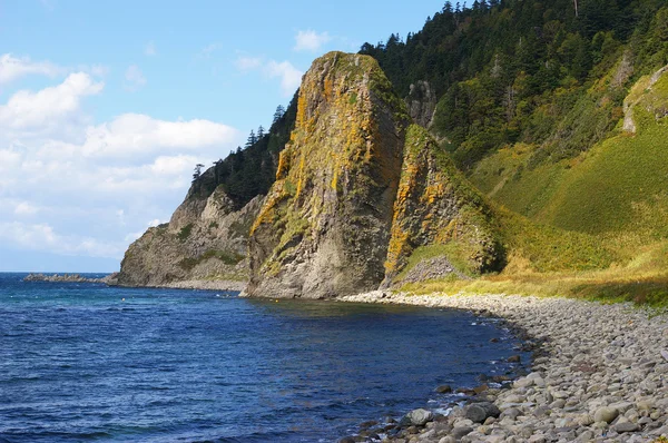 Cape Stolbchaty, ostrov Kunaširem, — Stock fotografie