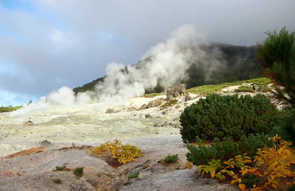 Fumarole  field , island Kunashir — Stock Photo, Image