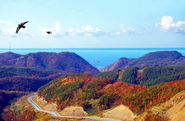 Mountain  pass Kholmsk island Sakhalin — Stock Photo, Image