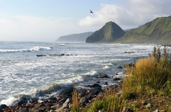 Stormy sea island Kunashir — Stock Photo, Image