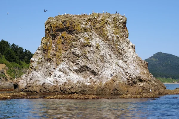 Bahía del Cabo Gigante, Isla Sakhalin — Foto de Stock