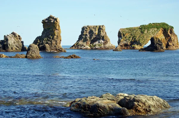 Bahía del Cabo Gigante, Isla Sakhalin — Foto de Stock