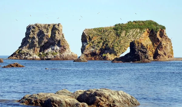 Roca en Cape Giant, Isla Sakhalin — Foto de Stock