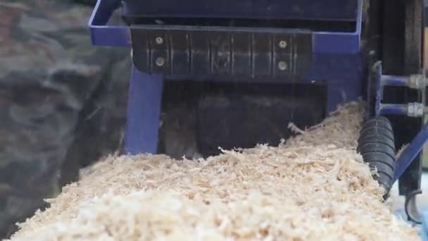 Dagsljus. maskin för sågning av trä. Rakningar och sågspån kastas ut genom ett speciellt hål. Närbild. — Stockvideo