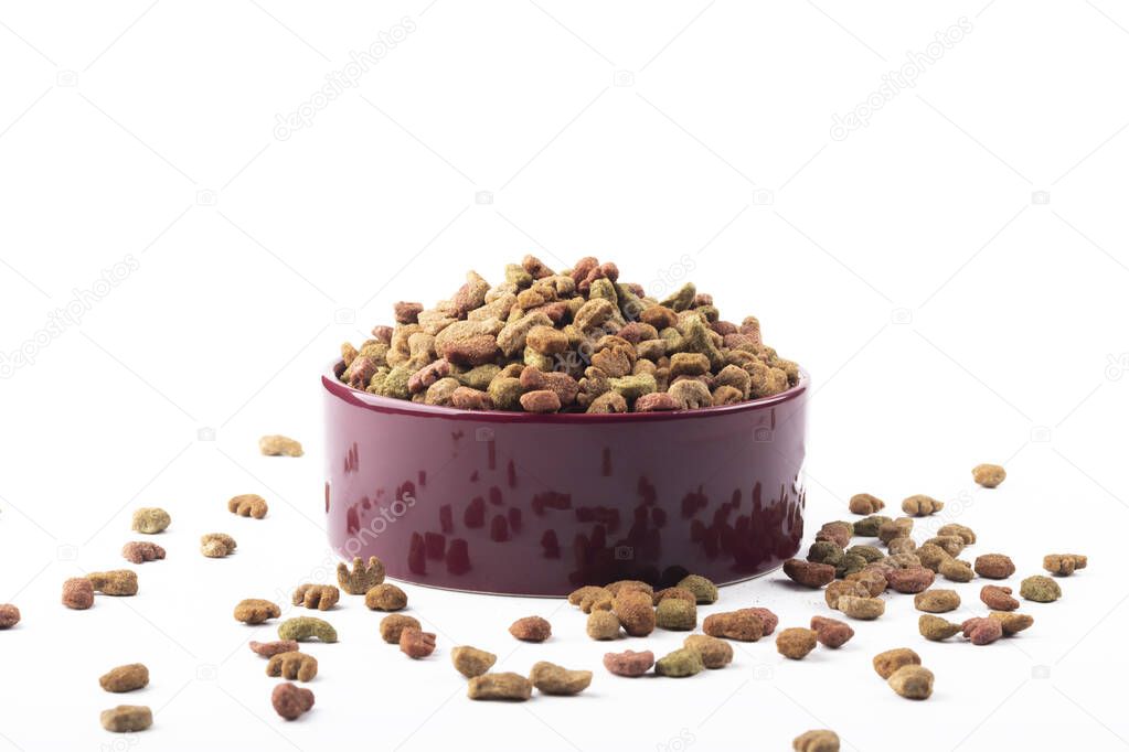 studio lighting. the animal feed is poured into a bowl. On a white background. Close-up