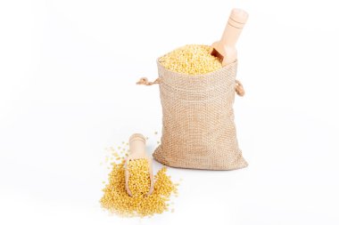 Stüdyo ışıkları. Beyaz arka plan. Mısır gevreğine yakın çekim. Milletler ahşap bir baharat kaşığının içine konur. Yalnızlık yok