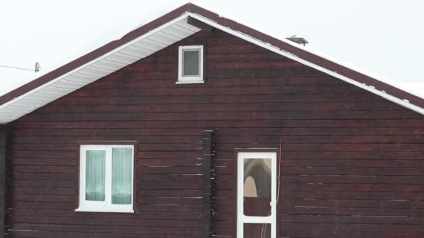 街路灯だ 雪がとても激しく降っています 家の一部が見える 屋根から風が雪片を吹く — ストック動画