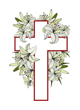 Beyaz nilüfer ile çapraz