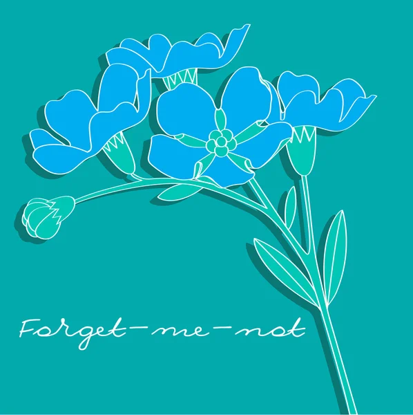 Forget-me-not — Stock Vector