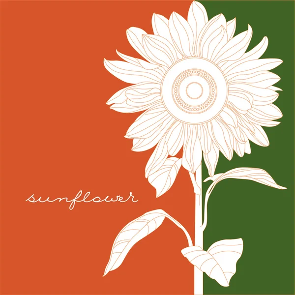 Girasol — Vector de stock