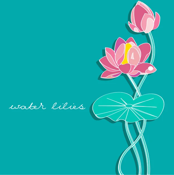 Water lilies — Stock Vector