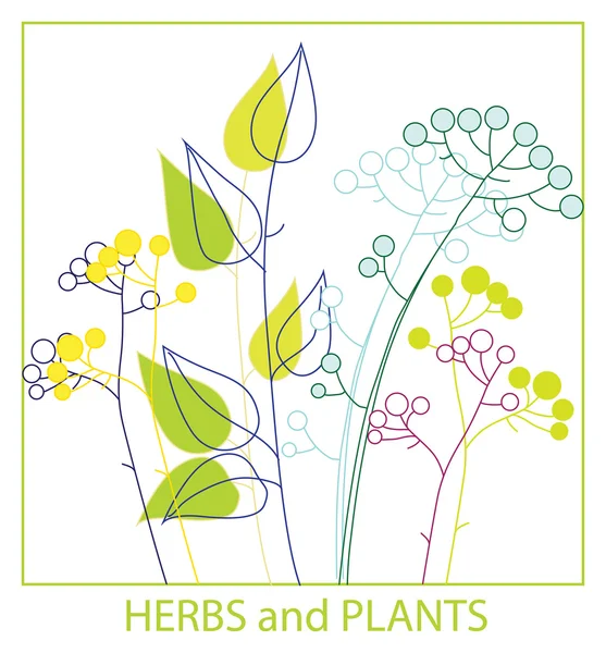 Ramitas hierbas y plantas — Archivo Imágenes Vectoriales