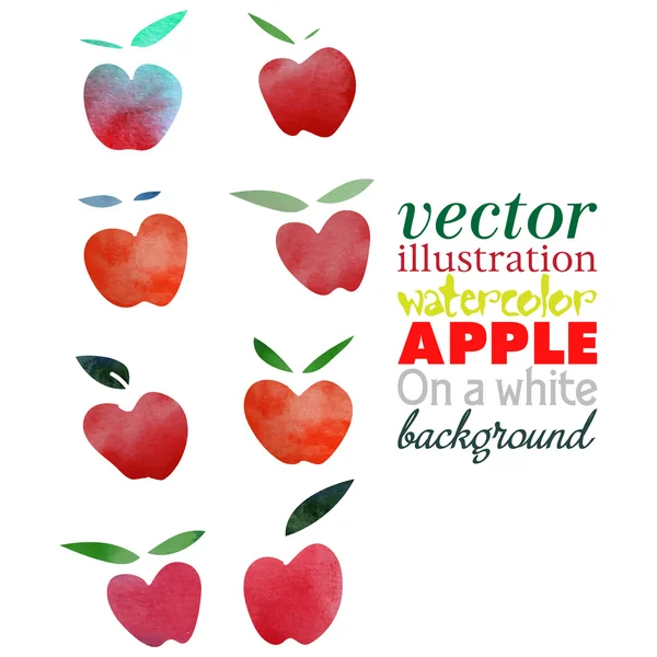 Acuarela manzana — Vector de stock