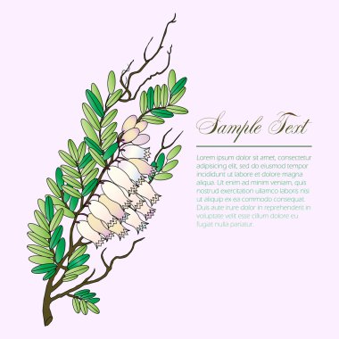 bearberry twig with flowers clipart