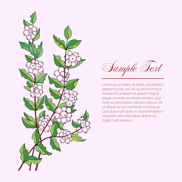 いくつかの枝 Symphoricarpos — ストックベクタ