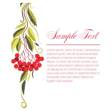 çeşitli dalları ve yaprakları dağ kül