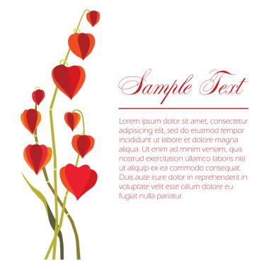 Dekoratif dalları Physalis meyve ile