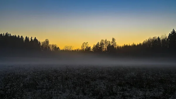 Sunset over a misty field in Sweden — Stock Photo, Image