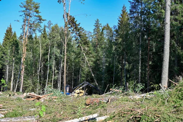 Máquina forestal azul que trabaja en el bosque sueco — Foto de Stock