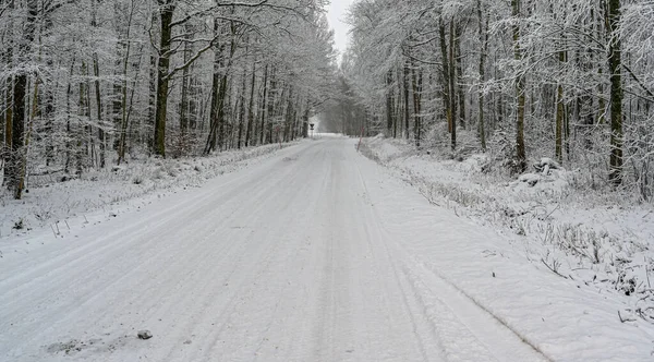 Прямая зимняя дорога покрытая снегом в Швеции — стоковое фото