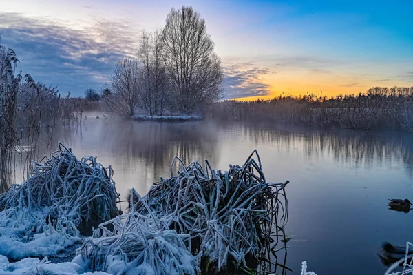 Sunrise over water and ducks in Kumla Park Sweden — Stock Photo, Image