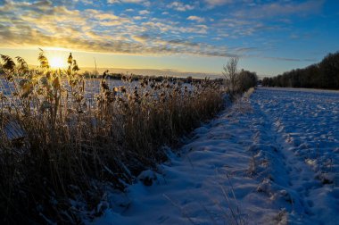 İsveç 'te karla kaplı tarlaların üzerinde gün doğumu