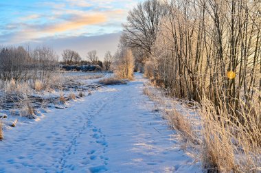İsveç 'te karla kaplı tarlaların üzerinde gün doğumu
