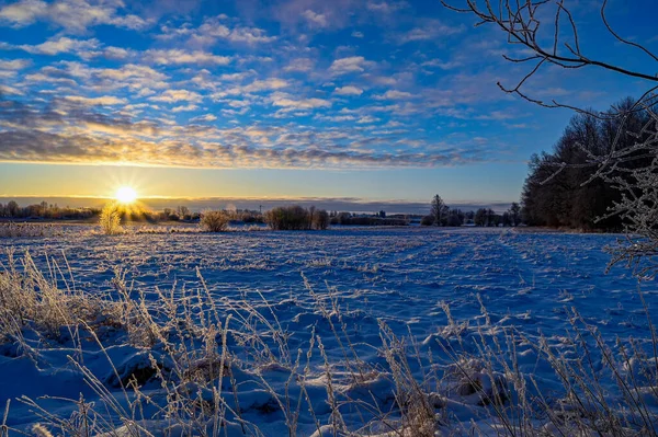 Sonnenaufgang über schneebedeckten Feldern in Schweden — Stockfoto