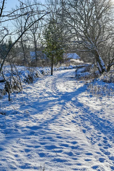 След с отпечатками ног в снегу возле каменной стены — стоковое фото