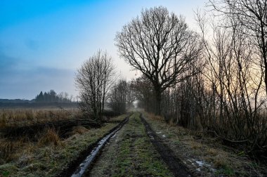 tarımsal alanlar arasında çimlerde araba izleri