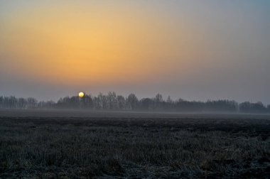 Tarım tarlaları üzerinde turuncu gün doğumu sisli bir sabah