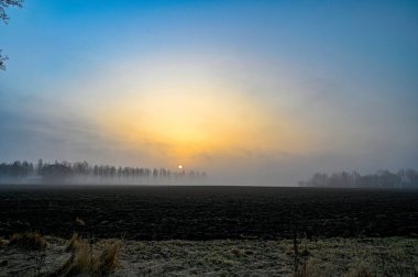 Tarım tarlaları üzerinde turuncu gün doğumu sisli bir sabah
