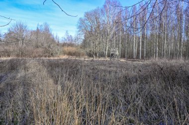 Ormandaki kamuflaj ağıyla kaplı av kulesi.
