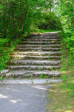 Parkta taştan yapılmış eski merdivenler