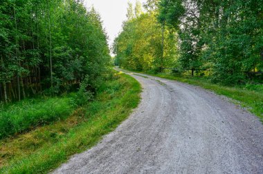 Ormandaki çakıllı bir yolda eğil.