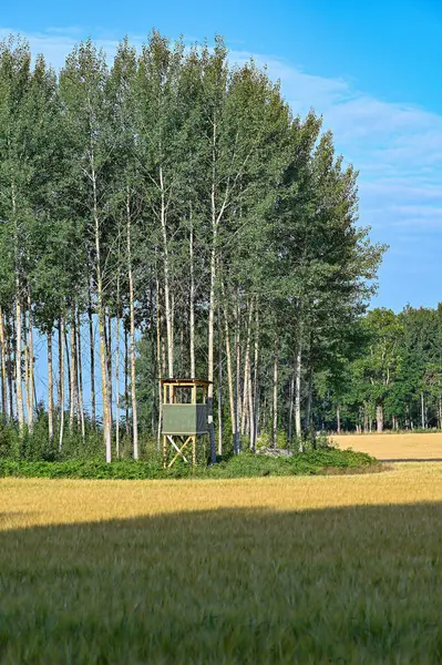 Tarım tarlası tahıl ve av kulesi — Stok fotoğraf