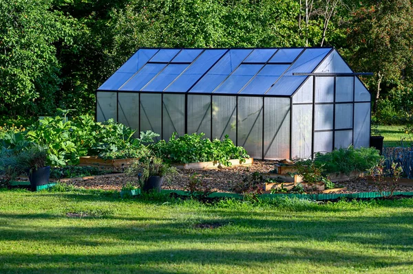 Serres et boîtes cultivantes dans le jardin arrière — Photo