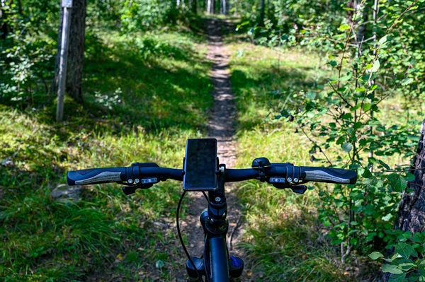 Bicykl stojící och mtb stezka v lese — Stock fotografie