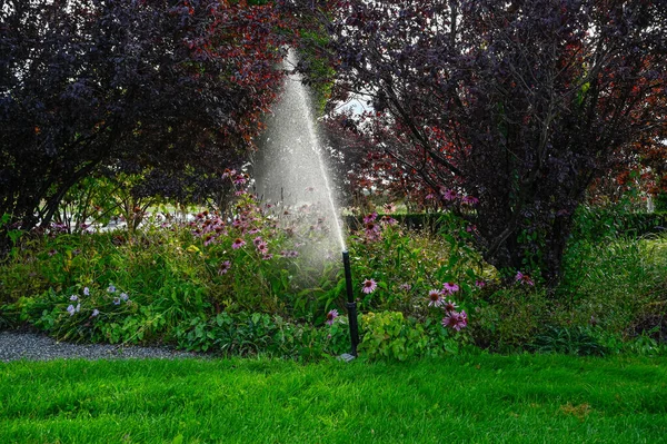 Arroseur d'eau dans le lit de fleurs dans le jardin public — Photo