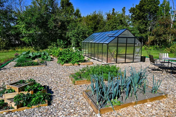 Arka bahçede sera ve tarım kutuları