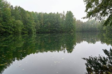 Eylül 'de küçük sakin bir göle yansıyan orman.