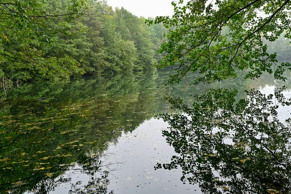 Bosque que refleja en pequeño lago tranquilo en septiembre —  Fotos de Stock