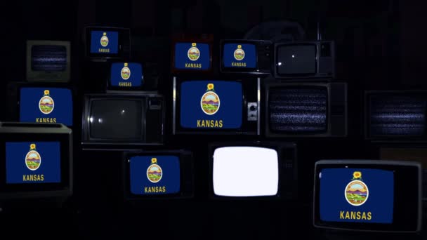 Drapeau Officiel Kansas Sur Retro Wall Ton Bleu Foncé Zoom — Video