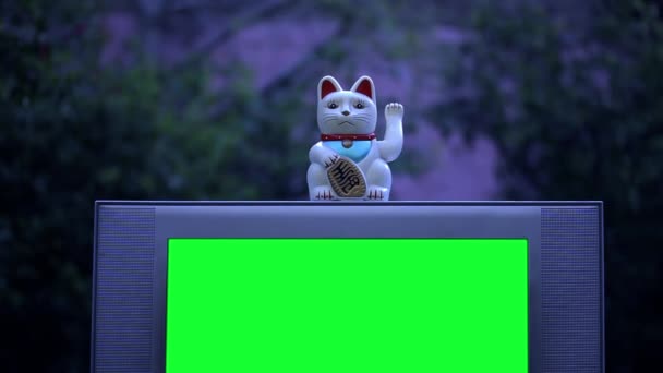 招き猫と緑の画面の古いテレビ ナイト トーン 緑の画面を必要な映像や画像に置き換えることができます キー効果でそれを行うことができます — ストック動画