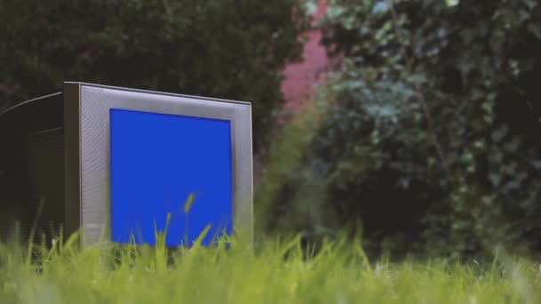 緑の草の上に青い画面で古いテレビ 青い画面を必要な映像や画像に置き換えることができます キー効果でそれを行うことができます — ストック動画